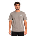 Camiseta Puma Essentials 2 Colour Small Logo Masculino